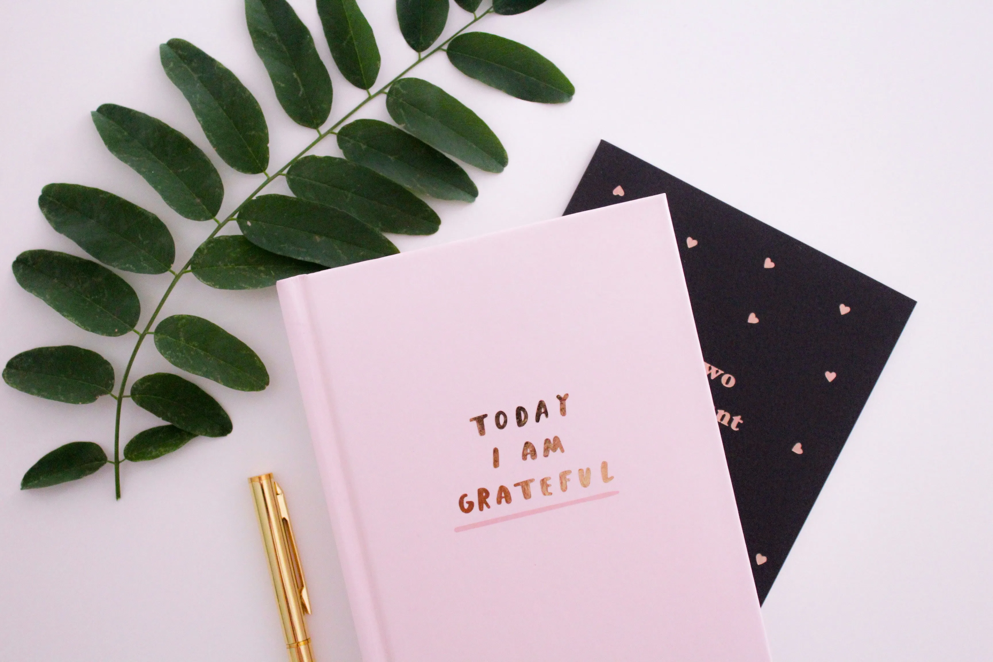 Gratitude Journaling Prompts: The Ultimate Guide | Positivity®