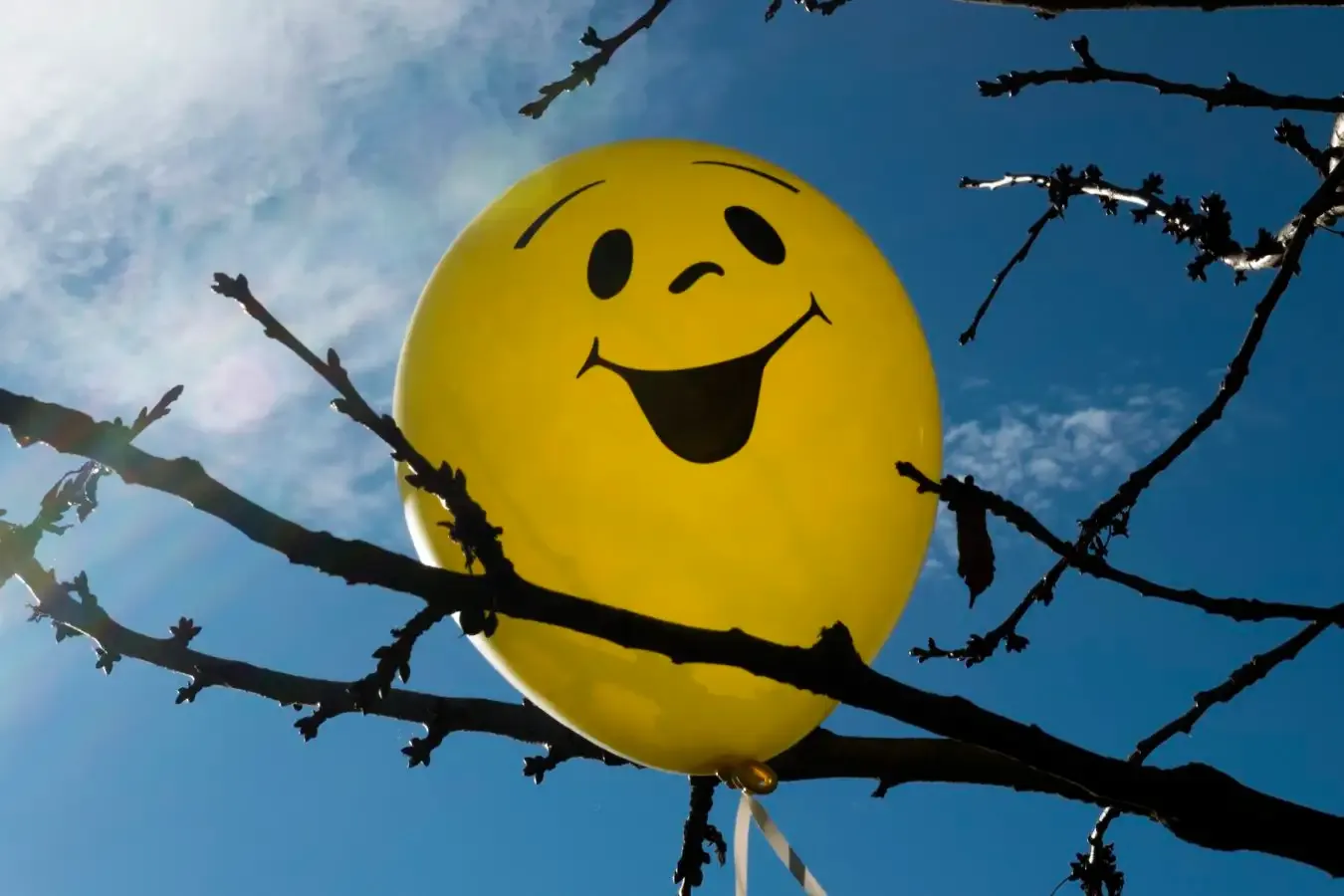 The Real Science of Positivity: What Research Says