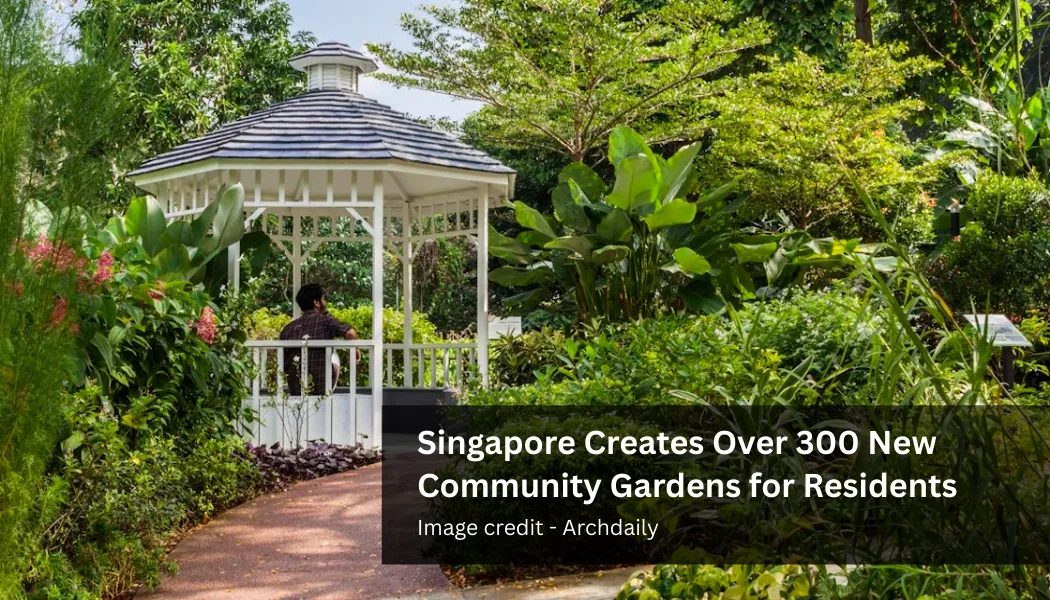 Singapore Creates Over 300 New Community Gardens for Residents