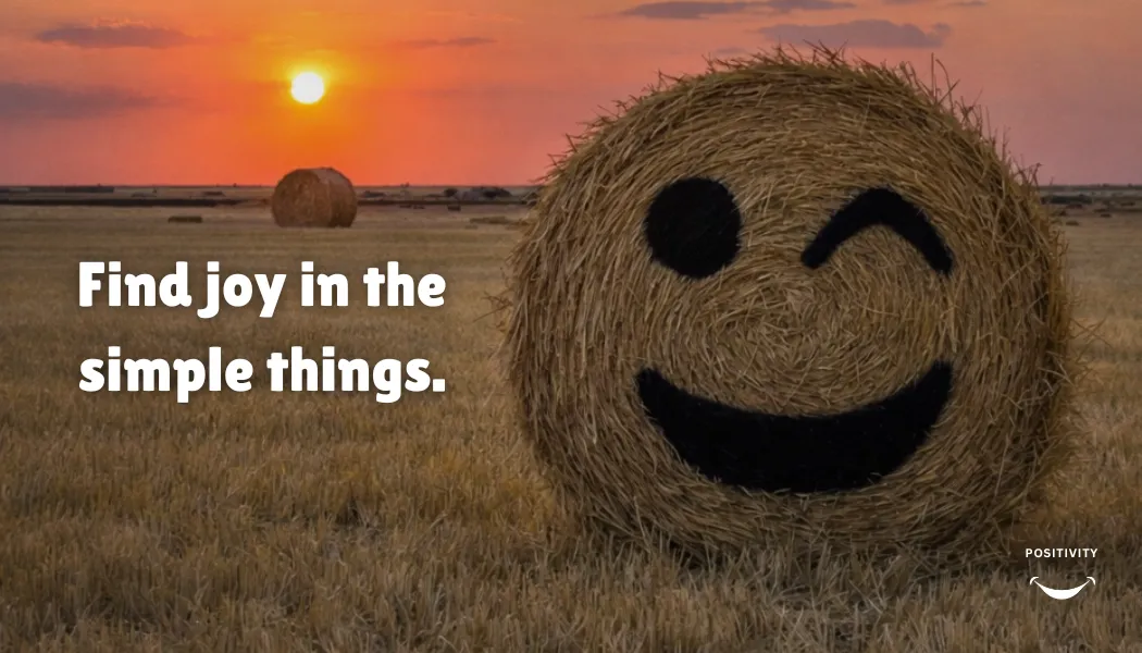 Find Joy in the Simple Things