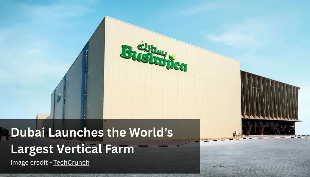 Dubai Launches the World’s Largest Vertical Farm