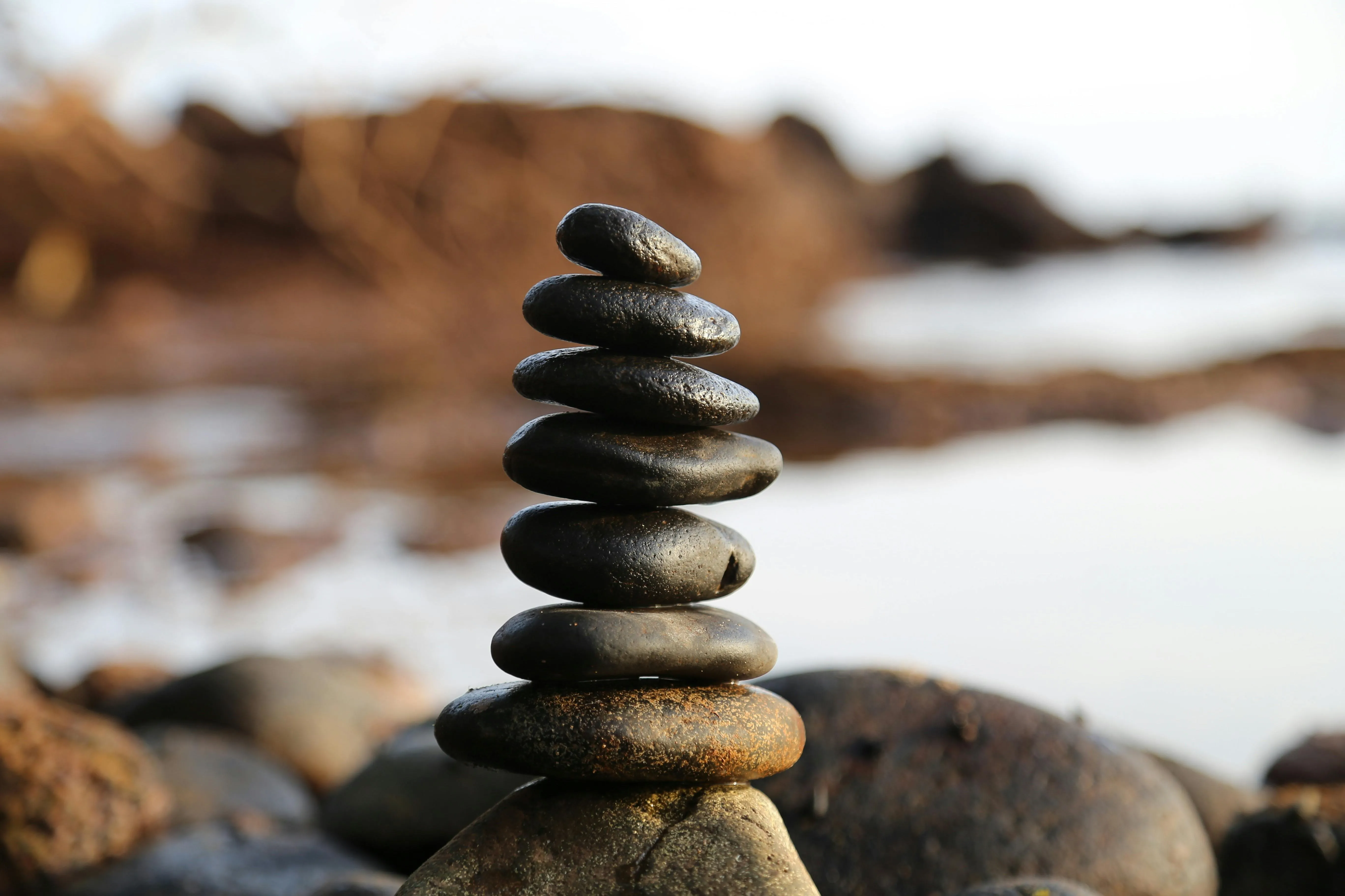 Life Balance Wheel