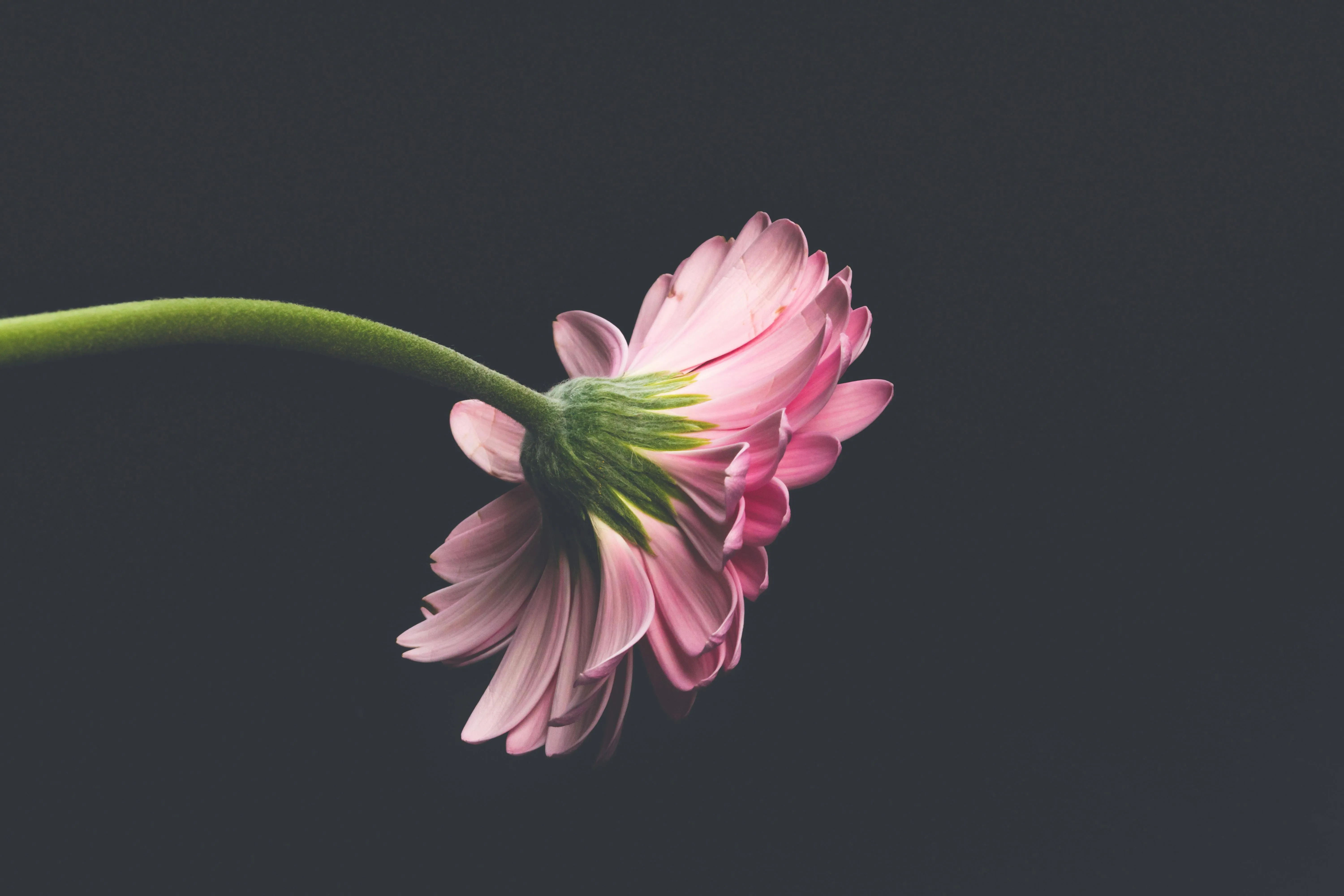 Anxiety Coping Toolkit — Printable Strategies and Grounding Exercises