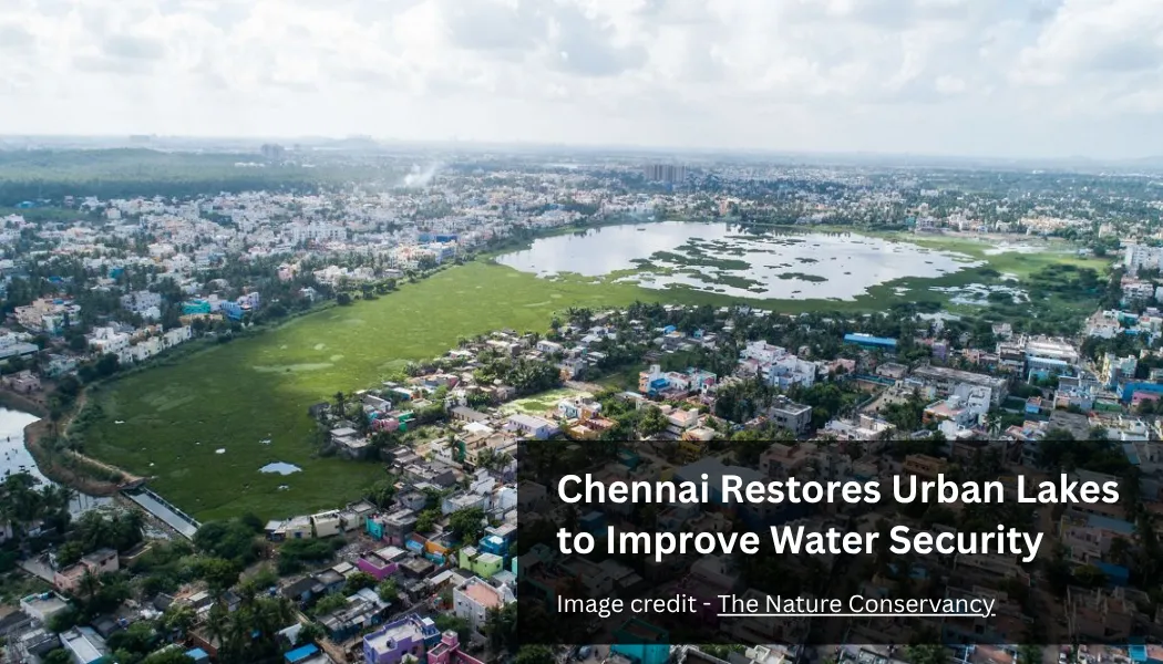 Chennai Restores Urban Lakes to Improve Water Security