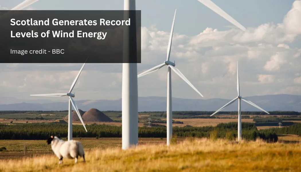 Scotland Generates Record Levels of Wind Energy