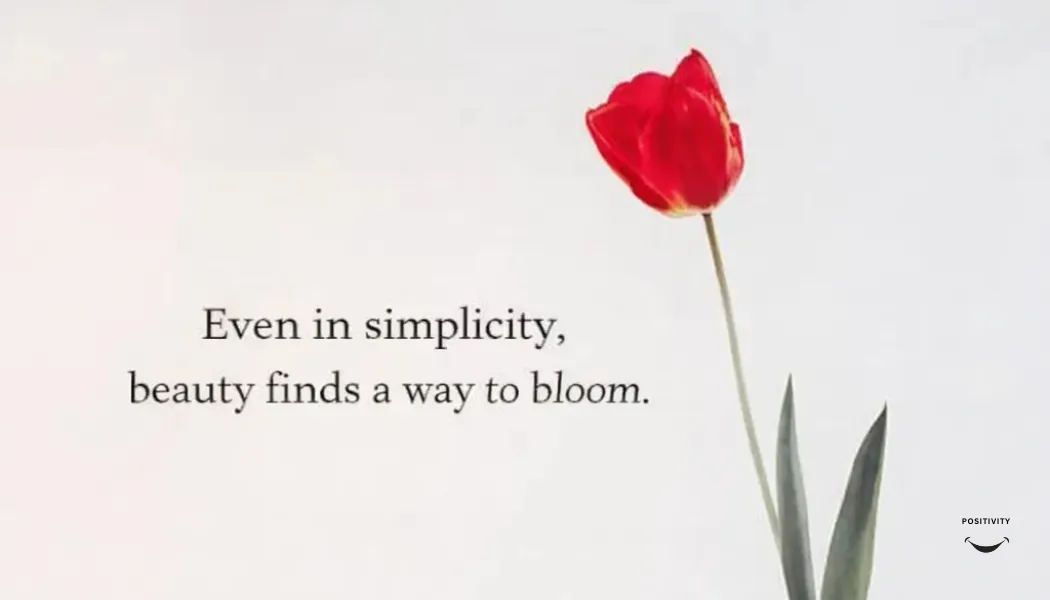 Even in Simplicity, Beauty Finds a Way to Bloom