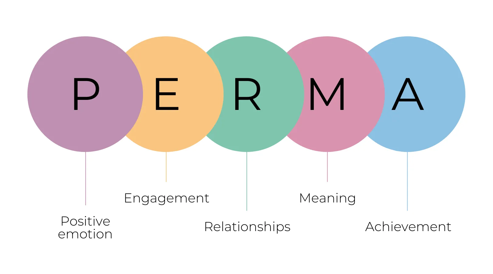 Understanding the Perma Model: Your Framework for Lasting Wellbeing
