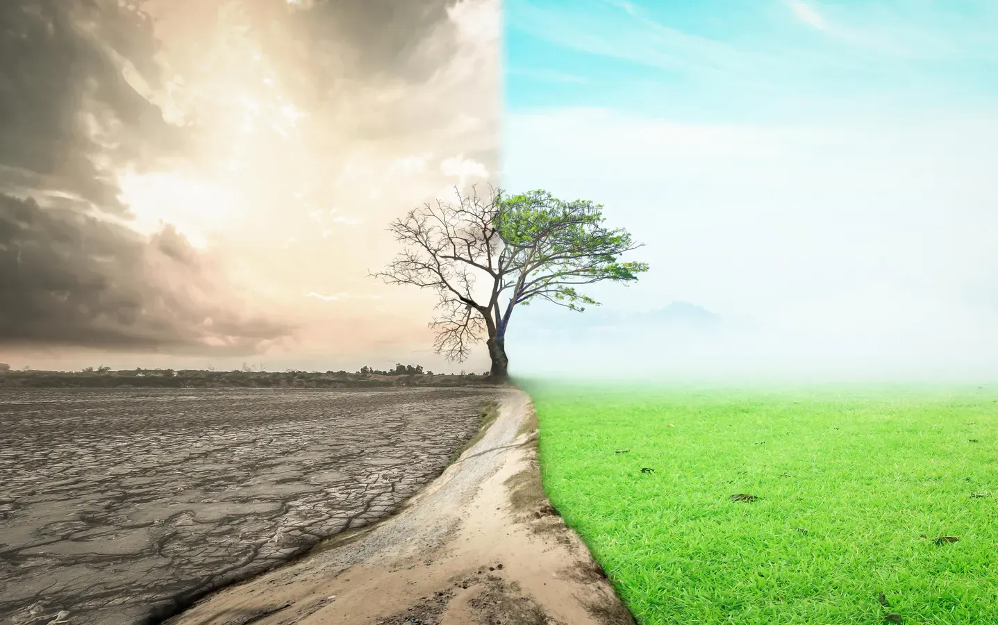 Scarcity Mindset: What It Is and How to Shift Toward Abundance