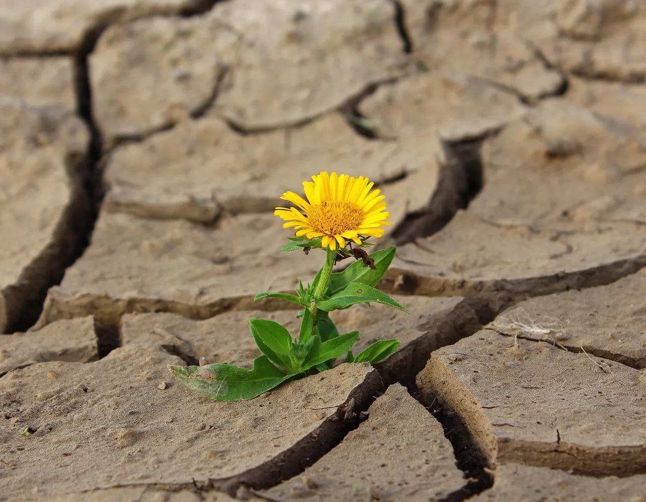 Resilience Retreat