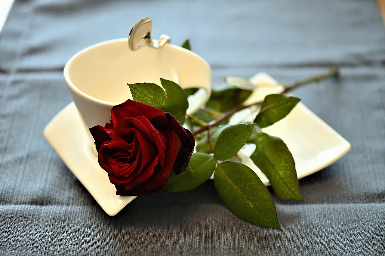 Good Morning Have a Beautiful Day